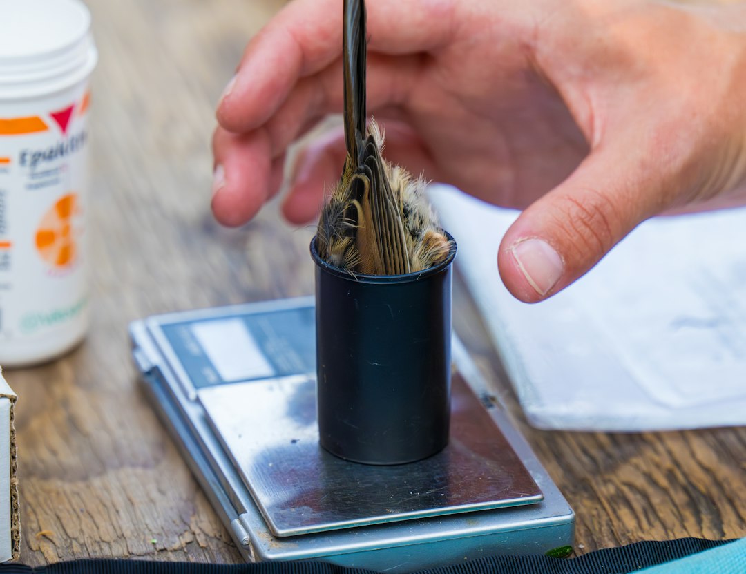 Growing For Beginners: Where to Start 5 Close‑up of a nutrient bottle and measuring spoon
